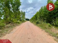 ขายที่ดิน เนื้อที่ 48 ไร่ 3 งาน บ้านไผ่ ขอนแก่น-202511031738471762166327169.jpg