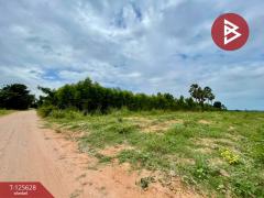 ขายที่ดิน เนื้อที่ 48 ไร่ 3 งาน บ้านไผ่ ขอนแก่น-202511031738471762166327724.jpg