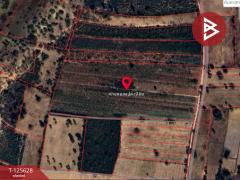 ขายที่ดิน เนื้อที่ 48 ไร่ 3 งาน บ้านไผ่ ขอนแก่น-202511031738481762166328323.jpg