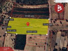 ขายที่ดิน เนื้อที่ 48 ไร่ 3 งาน บ้านไผ่ ขอนแก่น-202511031738491762166329035.jpg