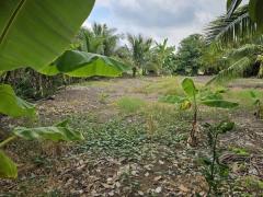 ขายที่ดินถมแล้วบางเลน (รหัสทรัพย์ 202569) ต.นราภิรมย์ อ.บางเลน จ.นครปฐม ขนาด 221 ตรว-202511040702351762214555378.jpg