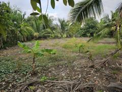 ขายที่ดินถมแล้วบางเลน (รหัสทรัพย์ 202569) ต.นราภิรมย์ อ.บางเลน จ.นครปฐม ขนาด 221 ตรว-202511040702351762214555865.jpg