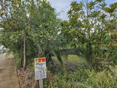 ขายที่ดินถมแล้วบางเลน (รหัสทรัพย์ 202569) ต.นราภิรมย์ อ.บางเลน จ.นครปฐม ขนาด 221 ตรว-202511040702371762214557326.jpg