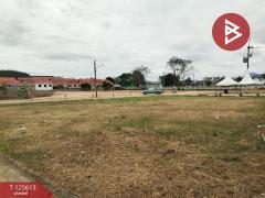 ขายที่ดิน-เนื้อที่-2-ไร่-18.2-ตร.วา-ท่าช้