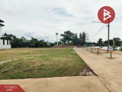 ขายที่ดิน เนื้อที่ 2 ไร่ 18.2 ตร.วา ท่าช้าง จันทบุรี-202511040901311762221691791.jpg