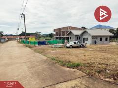 ขายที่ดิน เนื้อที่ 1 งาน 4.5 ตร.วา ท่าช้าง จันทบุรี-202511040914071762222447175.jpg