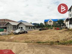 ขายที่ดิน เนื้อที่ 1 งาน 4.5 ตร.วา ท่าช้าง จันทบุรี-202511040914071762222447716.jpg