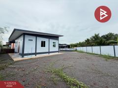 ขายบ้านเดี่ยวชั้นเดียว เนื้อที่ 1 งาน 37.5 ตร.วา บ้านแพ้ว สมุทรสาคร-202511040947061762224426504.jpg