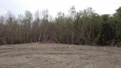 ขาย ที่ดินเปล่า (ถมแล้ว) ตำบลบ้านบ่อ อำเภอเมืองสมุทรสาคร จังหวัดสมุทรสาคร