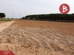 ขายที่ดิน เนื้อที่ 9 ไร่ 2 งาน 21 ตร.วา บางละมุง ชลบุรี-202511041113311762229611922.jpg