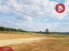 ขายที่ดิน เนื้อที่ 9 ไร่ 2 งาน 21 ตร.วา บางละมุง ชลบุรี-202511041113321762229612465.jpg