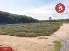 ขายที่ดิน เนื้อที่ 9 ไร่ 2 งาน 21 ตร.วา บางละมุง ชลบุรี-202511041113321762229613000.jpg