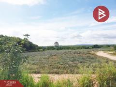 ขายที่ดิน เนื้อที่ 9 ไร่ 2 งาน 21 ตร.วา บางละมุง ชลบุรี-202511041113331762229613531.jpg