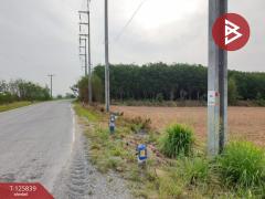 ขายที่ดิน เนื้อที่ 9 ไร่ 2 งาน 21 ตร.วา บางละมุง ชลบุรี-202511041113341762229614609.jpg