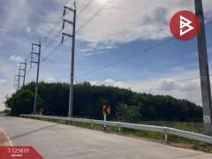 ขายที่ดิน เนื้อที่ 9 ไร่ 2 งาน 21 ตร.วา บางละมุง ชลบุรี-202511041113351762229615693.jpg