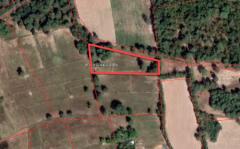 ที่ดิน ที่ดินเปล่า 1-2-95.30 ไร่  โนนแดง นครราชสีมา ใหญ่ 95 SQ.WA 2 NGAN 1 ไร่  3300000 บาท ใกล้ โรงเรียนบ้านป่าตะแบง               +++