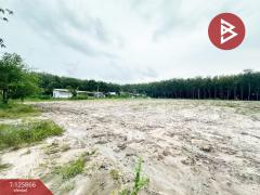 ขายที่ดิน-เนื้อที่-4-ไร่-ใกล้วัดมาบต