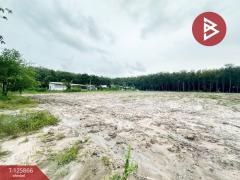 ขายที่ดิน เนื้อที่ 4 ไร่ ใกล้วัดมาบตาพุด เมืองระยอง-202511041132291762230749446.jpg