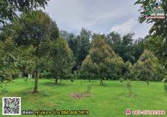 ขายที่ดิน 8 ไร่ ดอนเค็จ กาญจนดิษฐ์ สุราษฎร์ธานี ที่ดินแปลงนี้ผ่านการสำรวจธรณีวิทยา พบทรัพยากรน้ำแร่ใต้ดินจากแหล่งเขาแก้ว