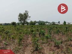 ขายที่ดิน เนื้อที่ 4 ไร่ 46 ตร.วา ศรีมหาโพธิ ปราจีนบุรี