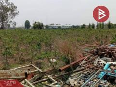 ขายที่ดิน เนื้อที่ 4 ไร่ 46 ตร.วา ศรีมหาโพธิ ปราจีนบุรี-202511041221341762233694974.jpg