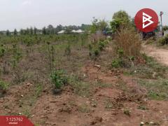 ขายที่ดิน เนื้อที่ 4 ไร่ 46 ตร.วา ศรีมหาโพธิ ปราจีนบุรี-202511041221361762233696073.jpg