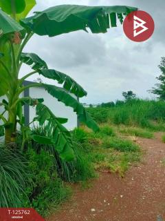 ขายที่ดิน เนื้อที่ 4 ไร่ 46 ตร.วา ศรีมหาโพธิ ปราจีนบุรี-202511041221361762233696617.jpg