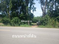 ขายที่ดิน 3 ไร่ ต.บ้านโสก อ.คอนสวรรค์ ชัยภมิ ติดถนนดำมีน้ำไฟขาย 1.2 ล้าน-202511041241291762234889239.jpg