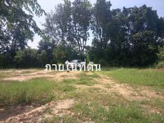 ขายที่ดิน 3 ไร่ ต.บ้านโสก อ.คอนสวรรค์ ชัยภมิ ติดถนนดำมีน้ำไฟขาย 1.2 ล้าน-202511041241401762234900629.jpg