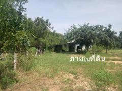 ขายที่ดิน 3 ไร่ ต.บ้านโสก อ.คอนสวรรค์ ชัยภมิ ติดถนนดำมีน้ำไฟขาย 1.2 ล้าน-202511041241471762234907676.jpg