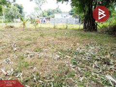 ขายที่ดิน-เนื้อที่-1-งาน-2.0-ตารางวา-สาร