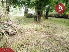 ขายที่ดิน เนื้อที่ 1 งาน 2.0 ตารางวา สาริกา นครนายก-202511041255141762235714525.jpg