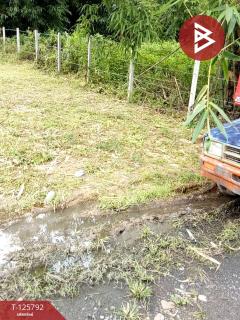 ขายที่ดิน เนื้อที่ 1 งาน 2.0 ตารางวา สาริกา นครนายก-202511041255151762235715085.jpg