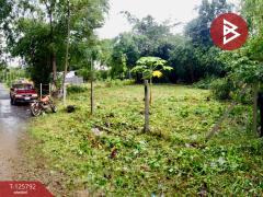 ขายที่ดิน เนื้อที่ 1 งาน 2.0 ตารางวา สาริกา นครนายก-202511041255151762235715625.jpg