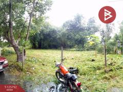 ขายที่ดิน เนื้อที่ 1 งาน 2.0 ตารางวา สาริกา นครนายก-202511041255161762235716191.jpg