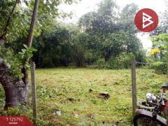 ขายที่ดิน เนื้อที่ 1 งาน 2.0 ตารางวา สาริกา นครนายก-202511041255161762235716752.jpg