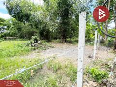 ขายที่ดิน เนื้อที่ 1 งาน 2.0 ตารางวา สาริกา นครนายก-202511041255171762235717863.jpg