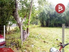 ขายที่ดิน เนื้อที่ 1 งาน 2.0 ตารางวา สาริกา นครนายก-202511041255181762235718410.jpg