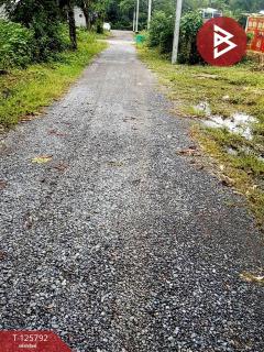 ขายที่ดิน เนื้อที่ 1 งาน 2.0 ตารางวา สาริกา นครนายก-202511041255181762235718950.jpg