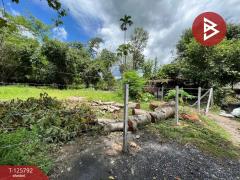 ขายที่ดิน เนื้อที่ 1 งาน 2.0 ตารางวา สาริกา นครนายก-202511041255191762235719485.jpg