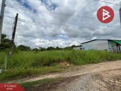 ขายที่ดิน-เนื้อที่-2-ไร่-4-ตร.วา-หนองจอ