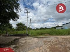 ขายที่ดิน เนื้อที่ 2 ไร่ 4 ตร.วา หนองจอก กรุงเทพมหานคร-202511041331271762237887104.jpg