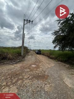 ขายที่ดิน เนื้อที่ 2 ไร่ 4 ตร.วา หนองจอก กรุงเทพมหานคร-202511041331271762237887641.jpg