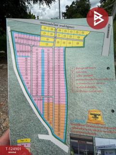 ขายที่ดิน เนื้อที่ 2 ไร่ 4 ตร.วา หนองจอก กรุงเทพมหานคร-202511041331281762237888708.jpg