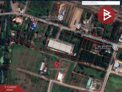 ขายที่ดิน เนื้อที่ 2 ไร่ 4 ตร.วา หนองจอก กรุงเทพมหานคร-202511041331291762237889237.jpg