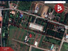 ขายที่ดิน เนื้อที่ 2 ไร่ 4 ตร.วา หนองจอก กรุงเทพมหานคร-202511041331291762237889776.jpg