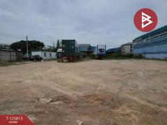 ขายที่ดินถมแล้ว เนื้อที่ 1 ไร่ ถนนไอยรา 1 ซอยไอยรา 5 คลองหลวง ปทุมธานี-202511041418221762240702309.jpg