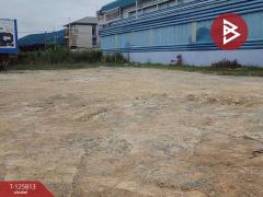 ขายที่ดินถมแล้ว เนื้อที่ 1 ไร่ ถนนไอยรา 1 ซอยไอยรา 5 คลองหลวง ปทุมธานี-202511041418221762240702849.jpg