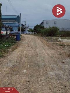 ขายที่ดินถมแล้ว เนื้อที่ 1 ไร่ ถนนไอยรา 1 ซอยไอยรา 5 คลองหลวง ปทุมธานี-202511041418231762240703388.jpg