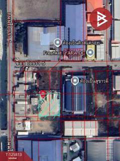 ขายที่ดินถมแล้ว เนื้อที่ 1 ไร่ ถนนไอยรา 1 ซอยไอยรา 5 คลองหลวง ปทุมธานี-202511041418241762240704449.jpg